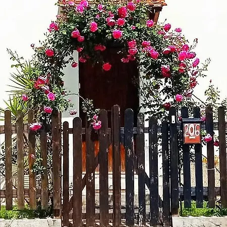 Valletta Fiorita * Ρώμη